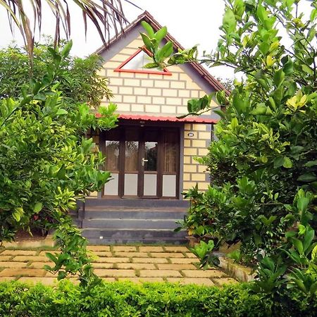 Wild Wadi Cottages Malanka Luaran gambar